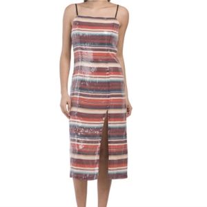 Hutch Sequin overlay dress